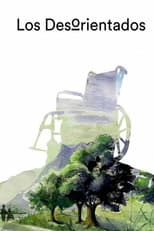 Poster for The disoriented
