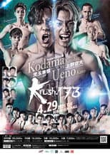 Poster for Krush 173