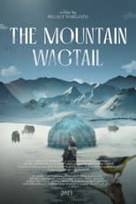 Poster for The Mountain Wagtail