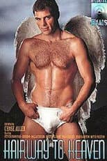 Poster for Hairway to Heaven