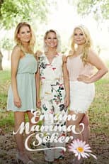Poster for Ensam mamma söker