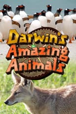Poster for Darwin's Amazing Animals