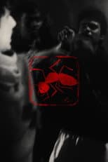 Poster for Bish Pipra
