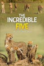 Poster for The Incredible Five: A Cheetah's Tale