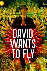 Poster for David Wants to Fly