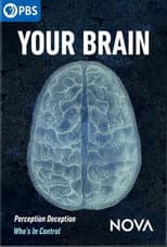 Poster for Your Brain