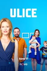 Poster for Season 17