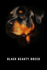 Poster for Black Beauty Breed