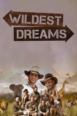 Poster for Wildest Dreams