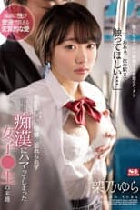 Poster for 初めてサレた快感が忘れられず電車痴●にハマってしまった女子●生の末路 架乃ゆら