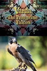 Poster for Varda, the Peregrine Falcon