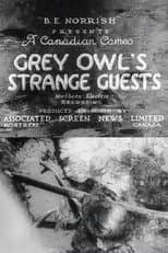Poster for Grey Owl's Strange Guests
