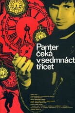 Poster for Panter čeká v 17,30