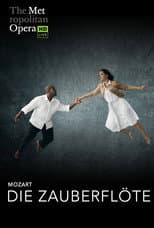 Poster for The Metropolitan Opera: The Magic Flute