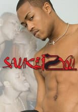 Poster for Saukei 2 You