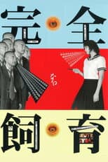 Poster for The Perfect Education