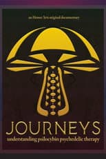 Poster for Journeys