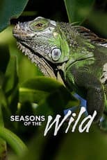 Poster for Seasons of the Wild