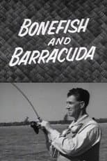 Poster for Bonefish and Barracuda