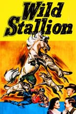 Poster for Wild Stallion