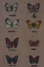 Poster for Lekcja anatomii