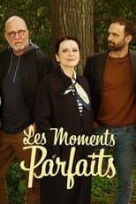 Poster for Les moments parfaits