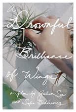 Poster for A Drownful Brilliance of Wings