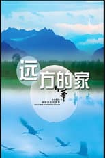 Poster for 远方的家