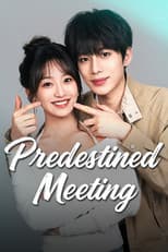 Poster for Predestined Meeting