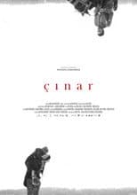 Poster for Plane Tree