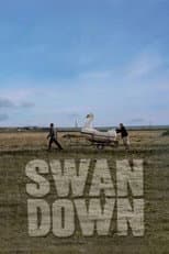 Poster for Swandown