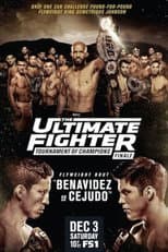 Poster for The Ultimate Fighter 24 Finale