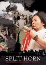Poster for The Split Horn: Life of A Hmong Shaman in America