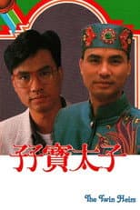 Poster for The Twin Heirs