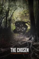 Poster for The Chosen: Forbidden Cave