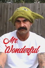 Poster for Mr. Wonderful