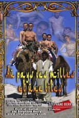 Poster for Au pays des mille et une bites