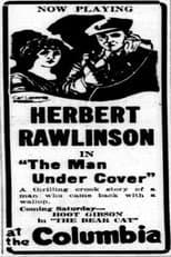 Poster for Man Under Cover