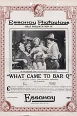 Poster for What Came to Bar Q