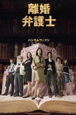 Poster for Divorce Lawyer
