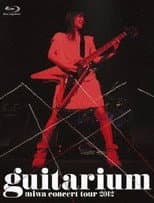 Poster for miwa concert tour 2012 "guitarium"