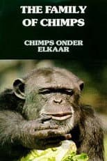 Poster for The Family of Chimps