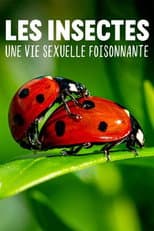 Poster for Les insectes, une vie sexuelle foisonnante