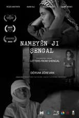 Poster for Letters from Shengal