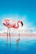 Poster for The Crimson Wing: Mystery of the Flamingos