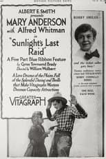 Poster for Sunlight's Last Raid