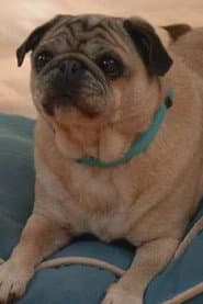 Photo of Lola