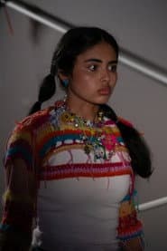 Photo of Shazia Amir