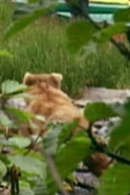 Photo of Quincy the Bear