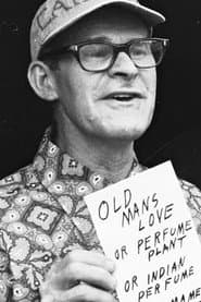 Photo of Catfish Gray